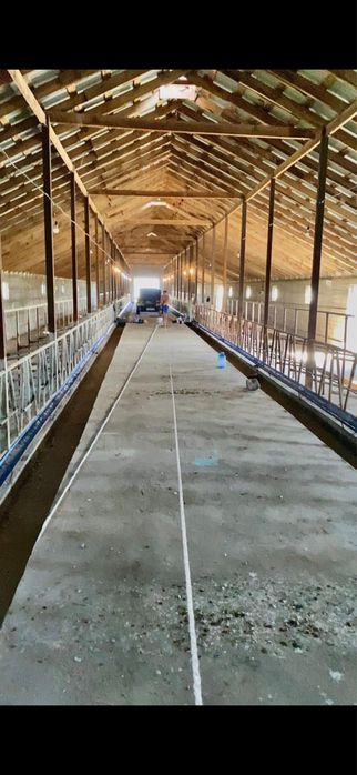 Откорм Мал бордақы