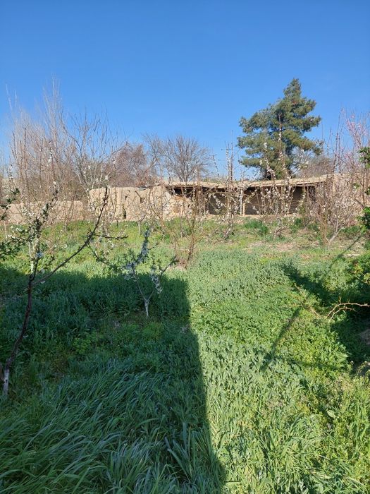 Участок сотилади 2 та тайор хонаси бор