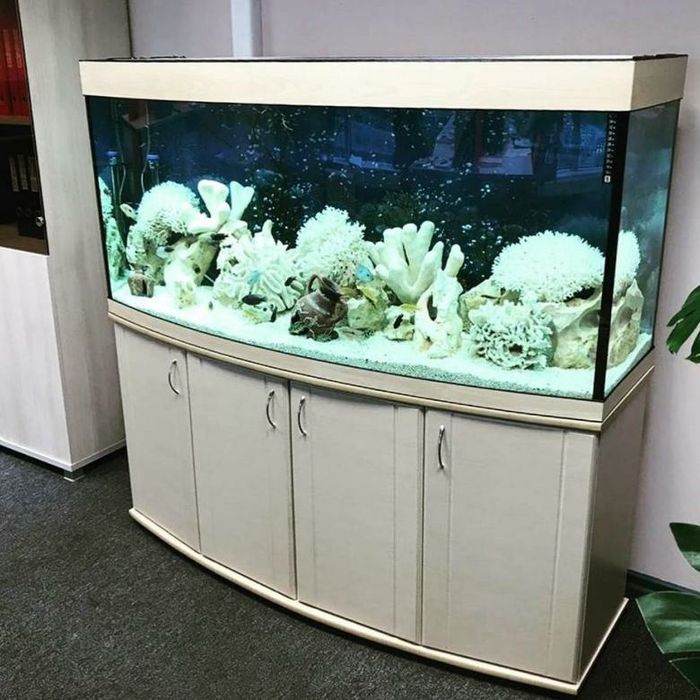 аквариум на заказ ремонт аквариум реставрация перевозки перестановка