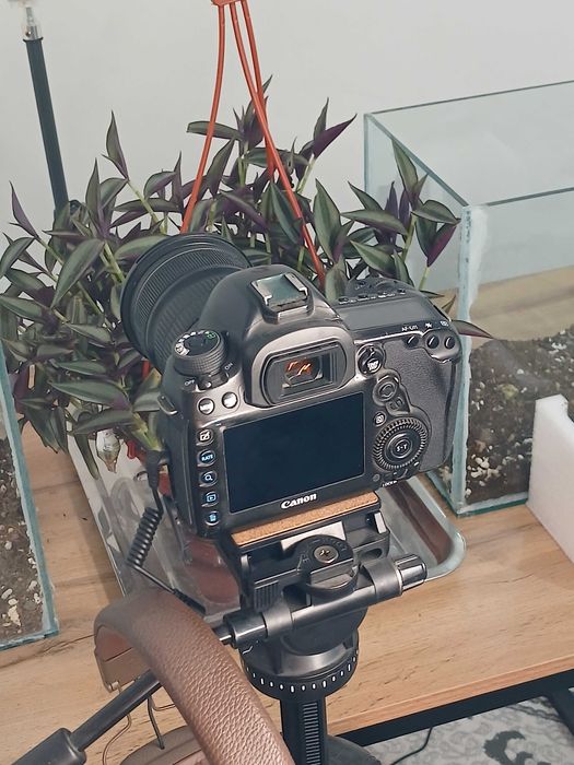 Canon EOS 5D Mark IV Sotiladi