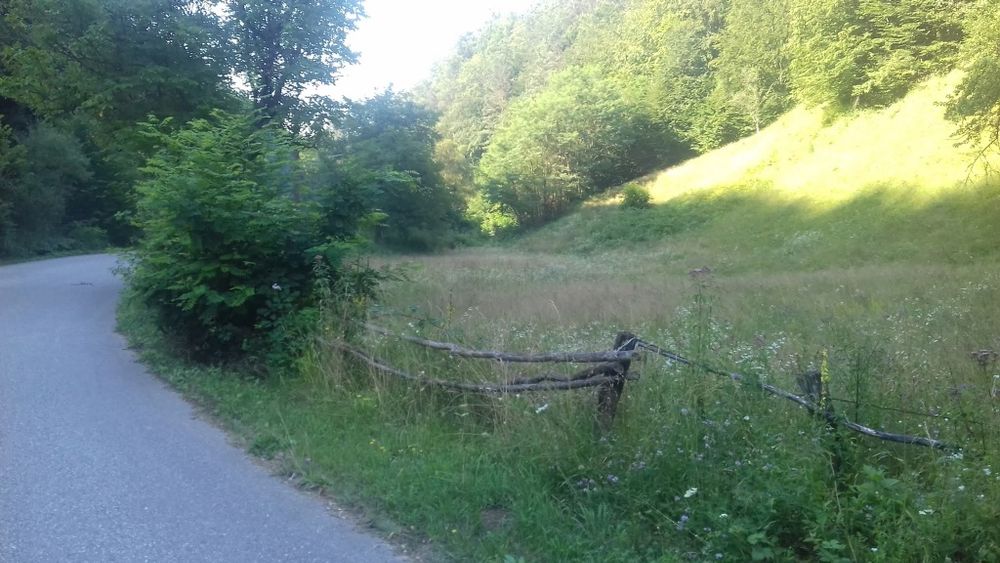 Teren în Apuseni,lângă șosea