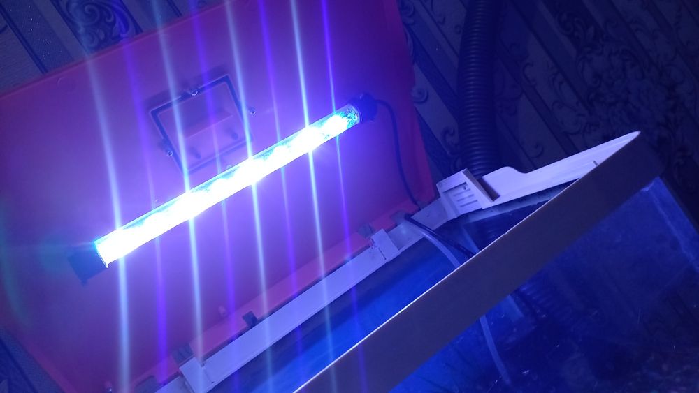 Акварюм с 5 рыбам