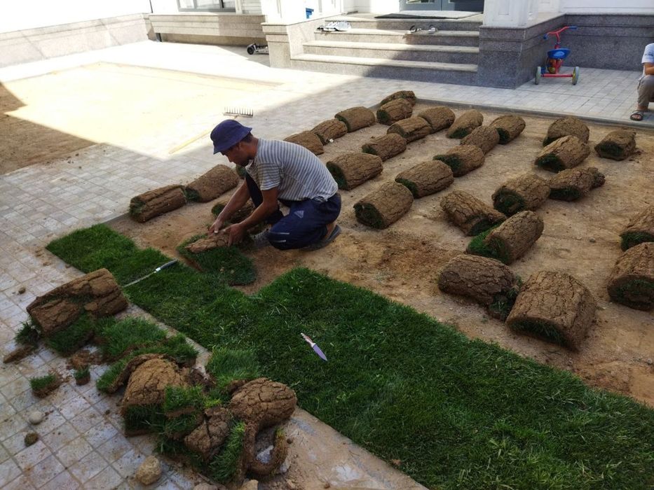 Газон екиш, арча кесиш, палиф хизмати, ландшафт , томорка ишлари