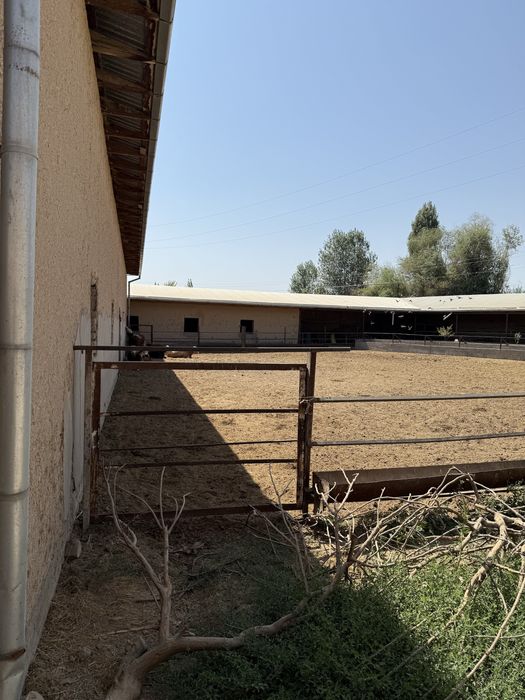 Участок (ферма), сад свой