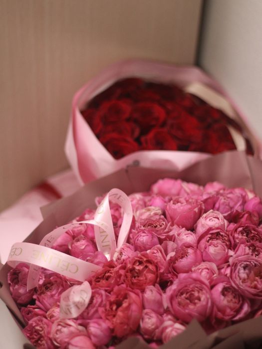 Камера canon 250d