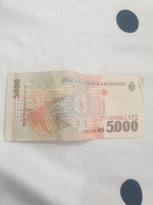 Bani vechi de 5000 lei