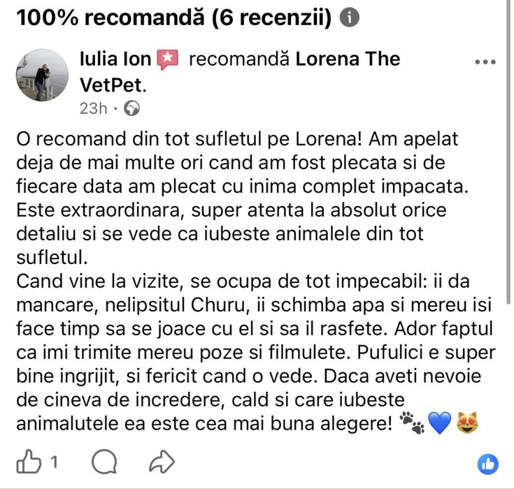 Petsittng, vizte la domiciliu pisici