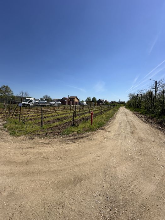 Teren intravilan 794 mp Cârcea Pelendava – 2 deschideri + utilități