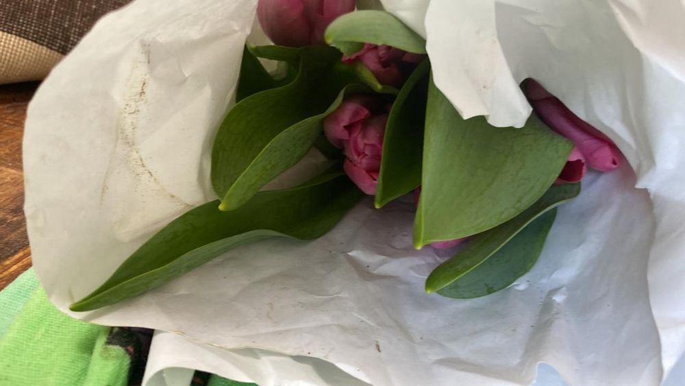 Тюльпаны на 8 марта