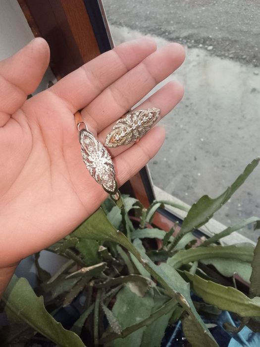 Zargar ishi probasi bor