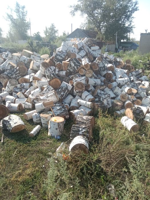 Продам дрова Берёза в Чурках