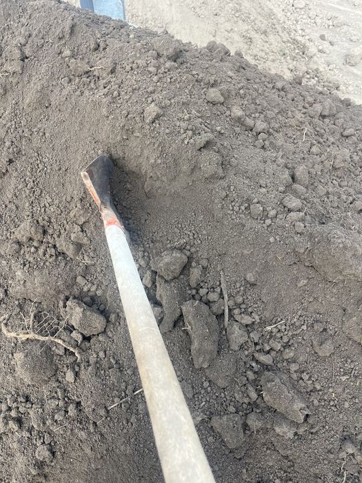 Чернозем хорошего качества.