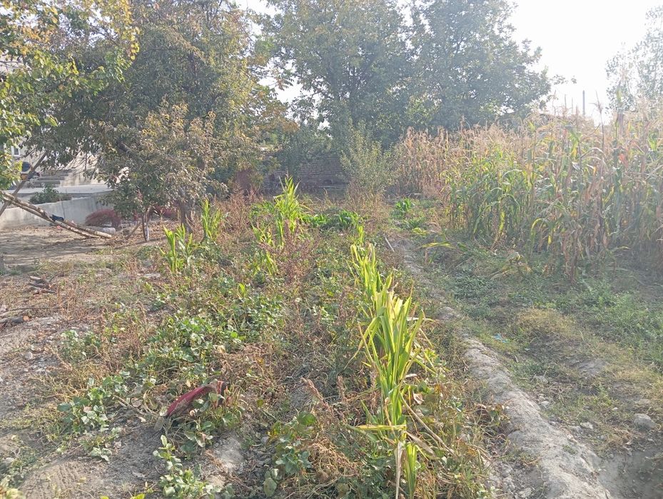 Uy sotiladi 15 sutix yirjoylari bn. ishtixon tuman