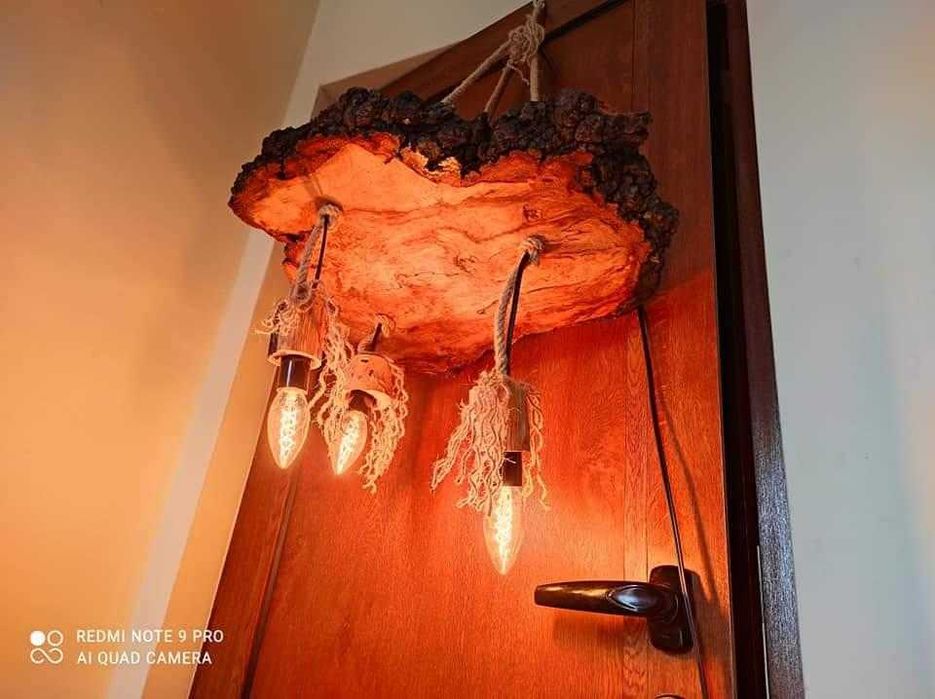 Полилей от тумор на бук
Уникален