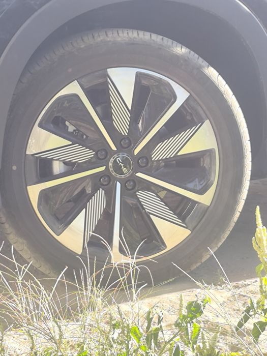 Byd chempion restayling diska