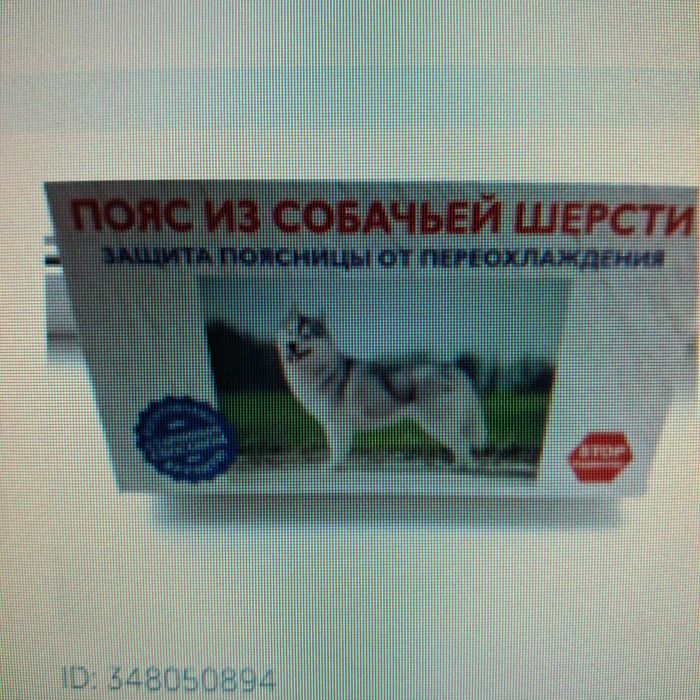 пояс из собачей шерсти лечебный