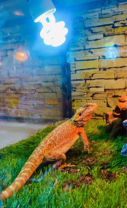 Шоу программа Фактор страха.,Кажется нащупал