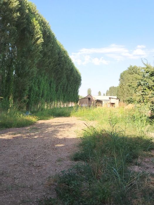 Yer uy sotiladi srochni