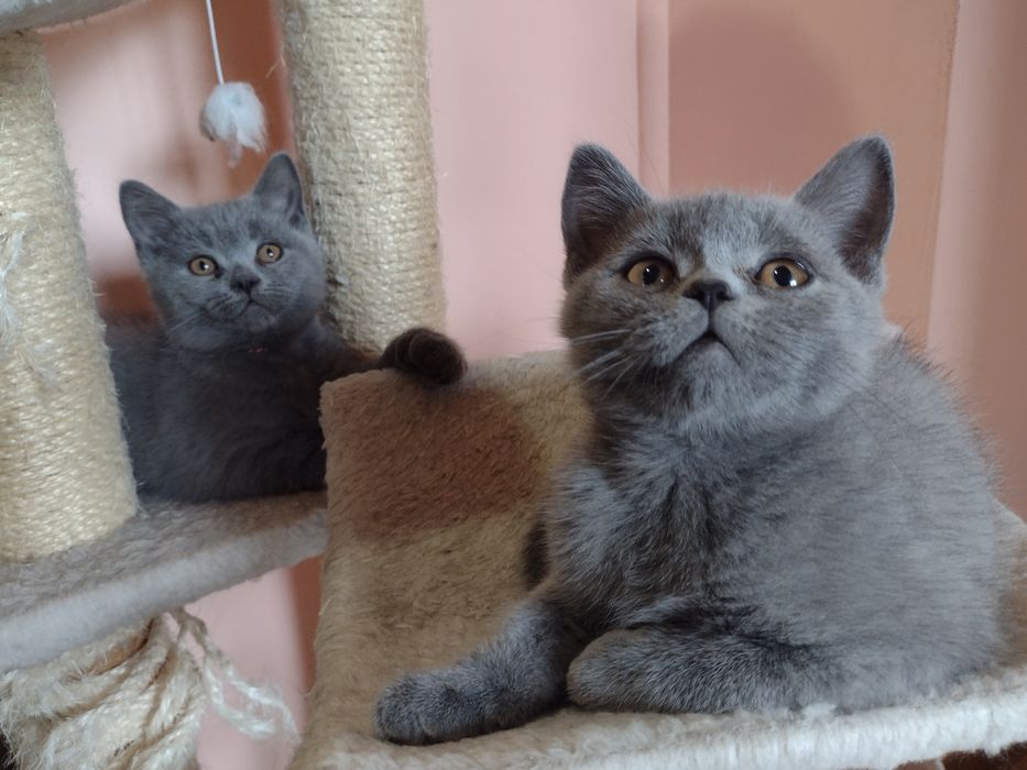 Най хубавия подарък .