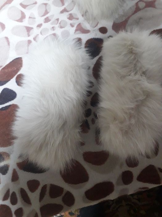 Женские кроссовки