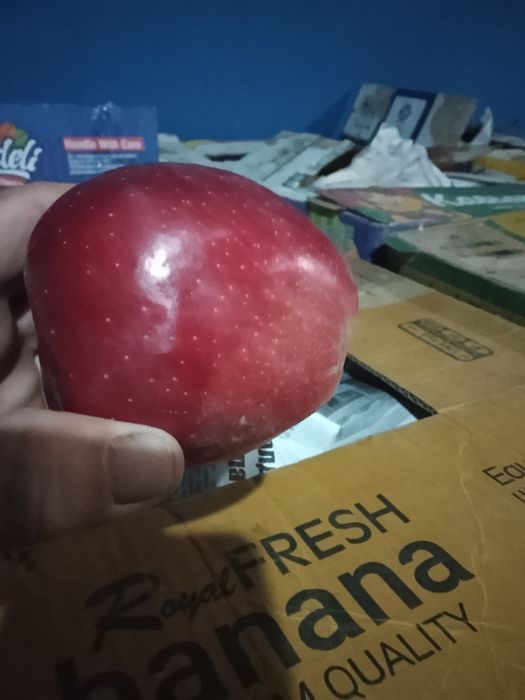 Продам горный яблоки