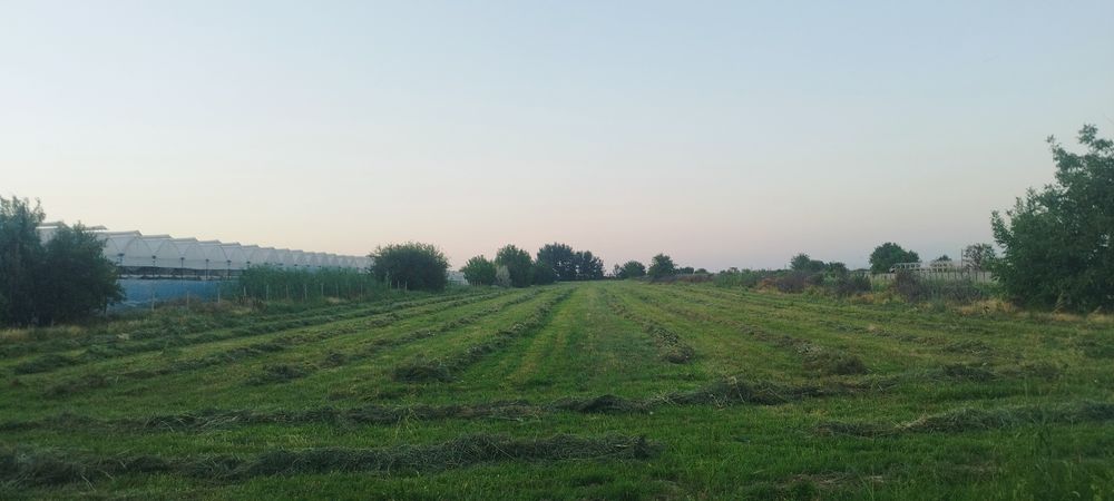 Поле Участо  2га