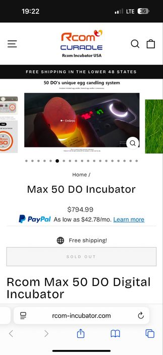 Incubator pui Rcom max 50 la cutie