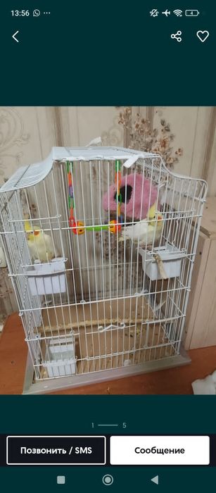 Карелла 2штук.клетка дом