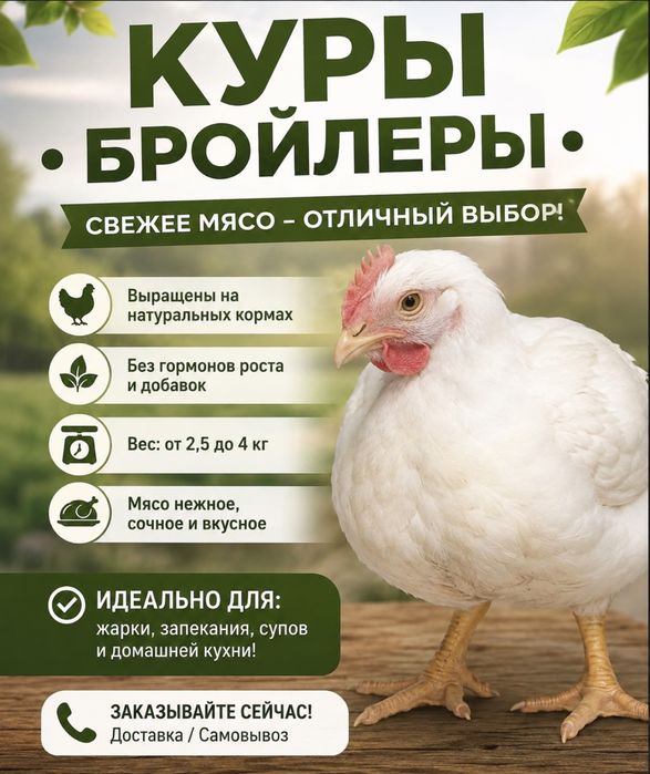 Продам курей бройлер