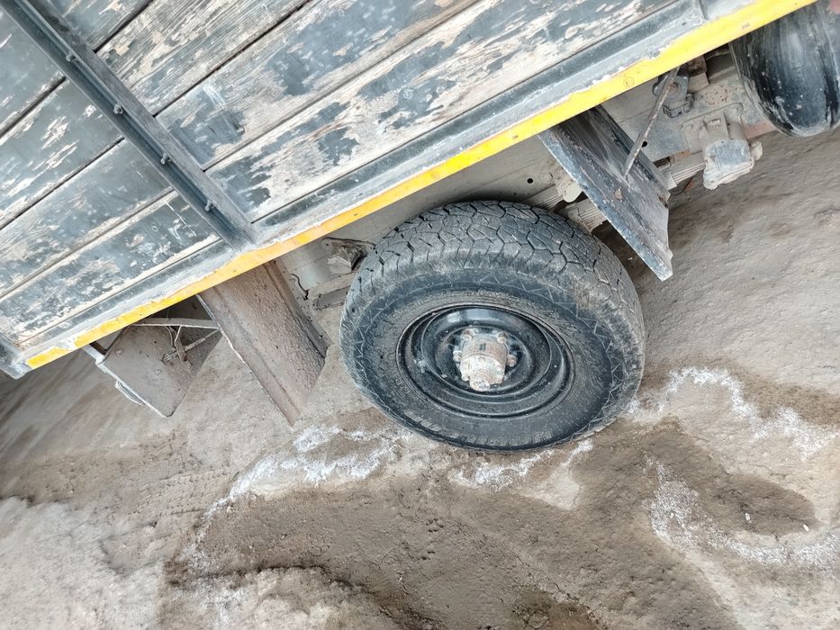 Bortovoy tentli xamma joyi sog'