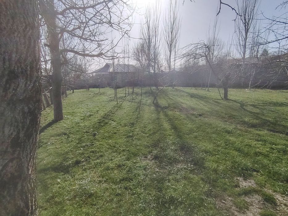 Yer sotiladi Oq towdan