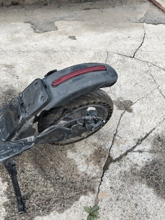 Порода электросамокат