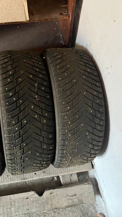 Шина пара зимний