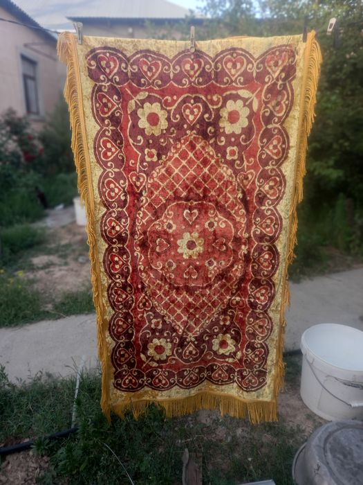 Бұрынғы масаты плюш