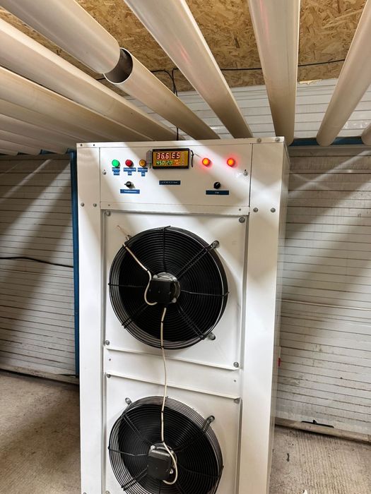 Химчистка ковров Ideal