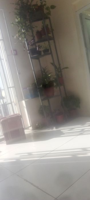 Eng muhimi dokumenti joyida