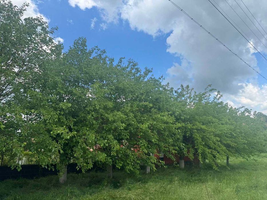 Продава се Къща в с. Малорад, Област Враца - 115 кв.м за 127 €/кв.м - Снимка #9