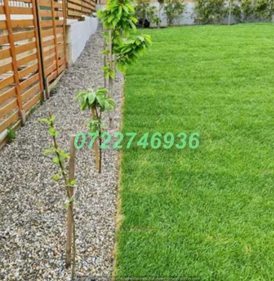 Gazon Profesional pentru Amenajări Exterioare de Lux