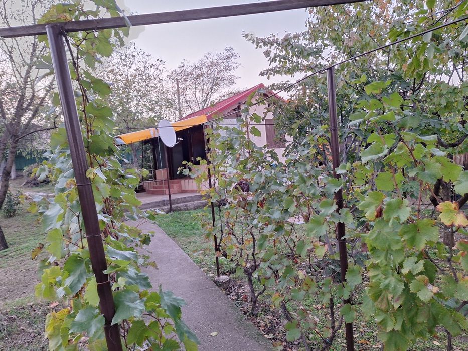 Teren de vânzare 1000  m², intravilan ,la stradă asfaltată cu căsuță de vacanță, în Mihail Kogălniceanu , com. Smârdan