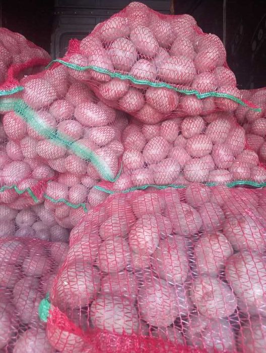 Oferim livrare domiciliu clientului 07#58#45#89#58 cartofi alb și roșu