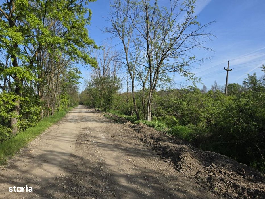 Magurele Strada Stejarului