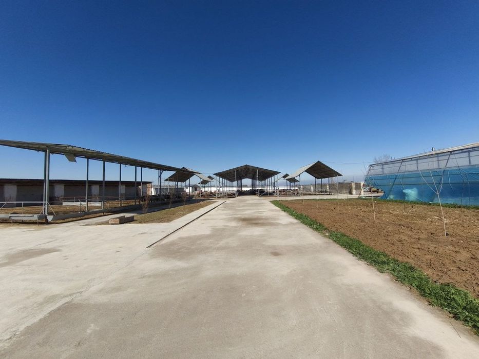 Мол  бокиш ун таёр ферма