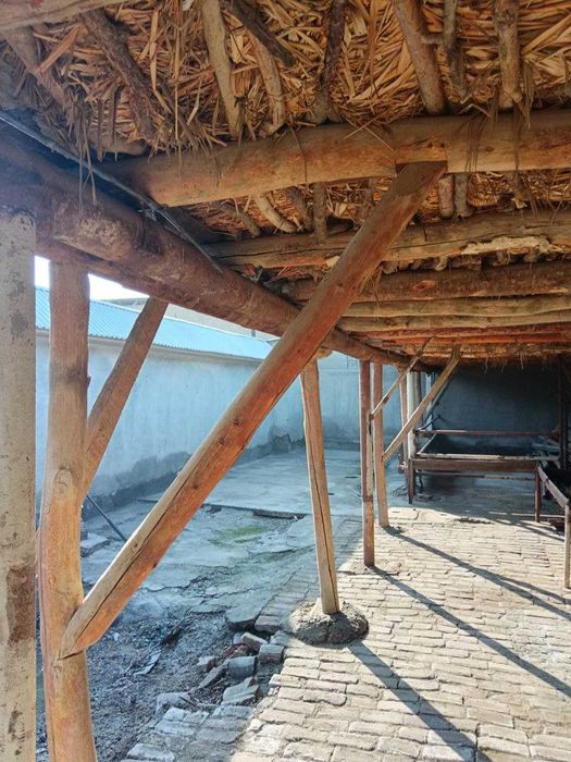 Уйга керакли насалар