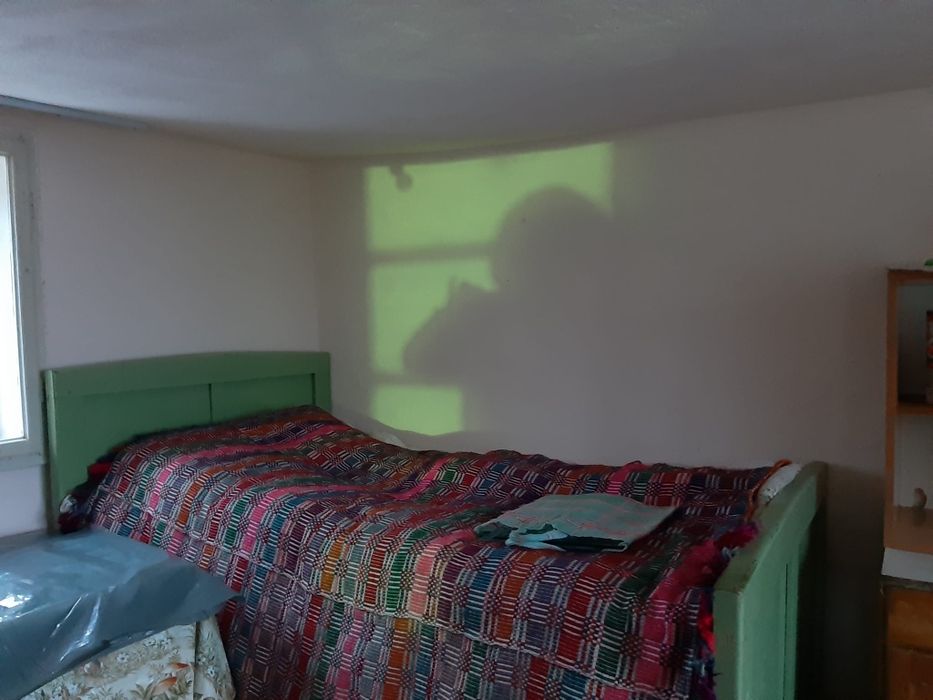 Paturi țărănești