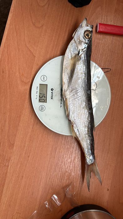 Рыба вяленая, копченая . Чехонь, Вобла, Лещ.