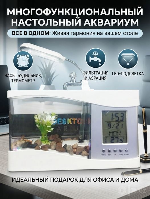 xitoy akvarium soatli