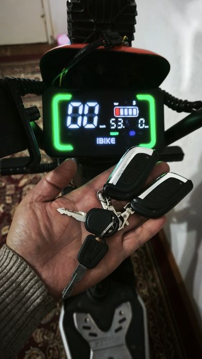 Drongo electric bike