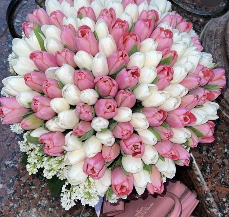 Тюльпаны к 8 марту