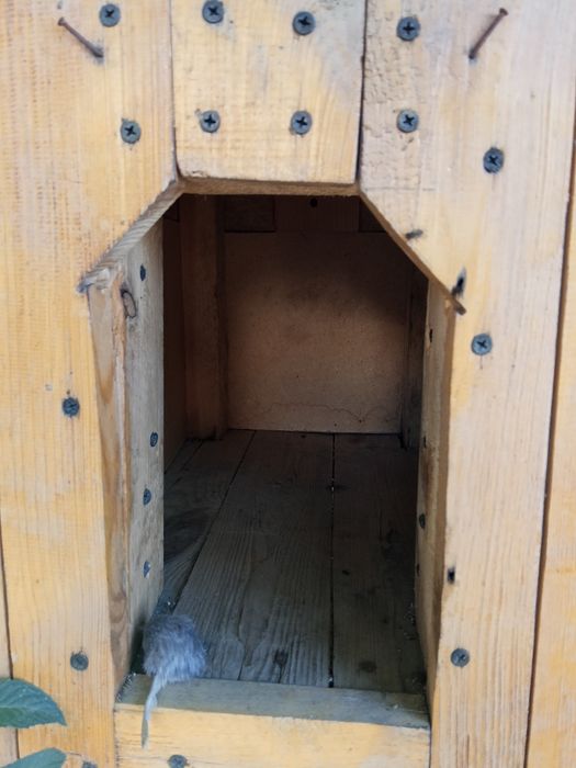 Продам уличный домик для кошки