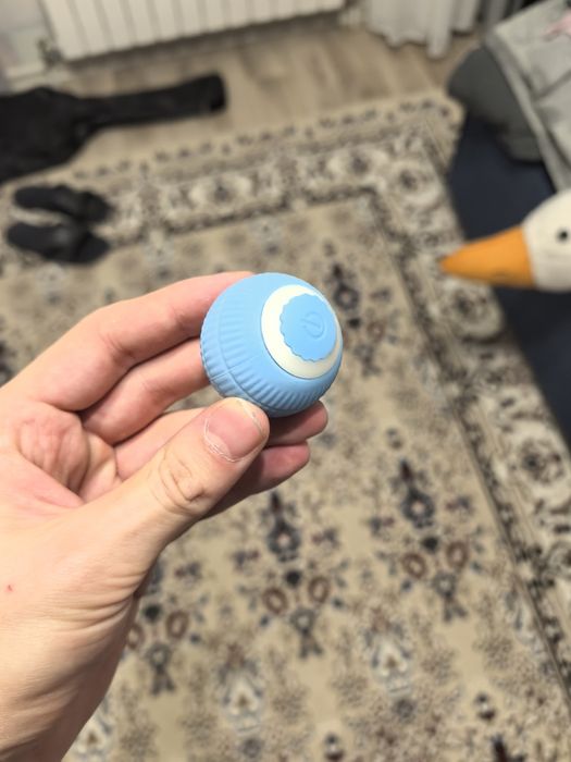 Игрушки для кота или собаки + когтиточка